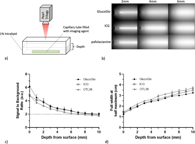 Preclinical Evaluation of Novel SGLT2-Targeted Near-Infrared Optical Imaging Agent for Early-Stage Pulmonary Adenocarcinoma.