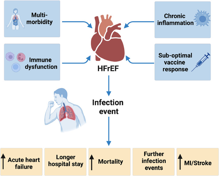 Infection in people with heart failure: an overlooked cause of adverse outcomes.