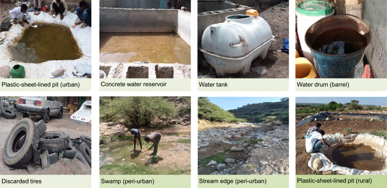 Bionomics of Anopheles stephensi across the urban-rural landscapes of Eastern Ethiopia.