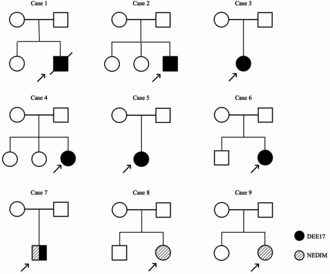 Identification of three novel GNAO1 variants in a Chinese cohort with GNAO1 encephalopathy: expanding the clinical and genetic spectrum.