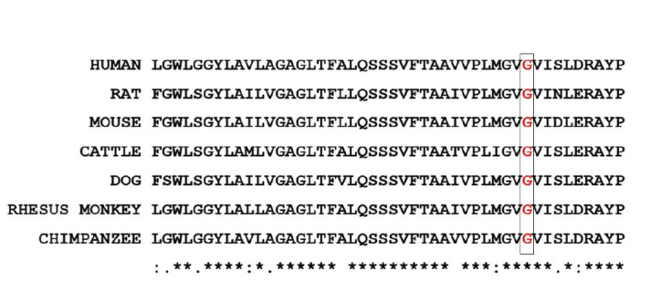 Novel Variant of <i>SLC34A3</i> in a Compound Heterozygous Brazilian Girl with Hereditary Hypophosphatemic Rickets with Hypercalciuria