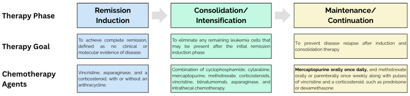 <i>NUDT15</i> Pharmacogenetics in Acute Lymphoblastic Leukemia: Synthesizing Progress for Personalized Thiopurine Therapy.