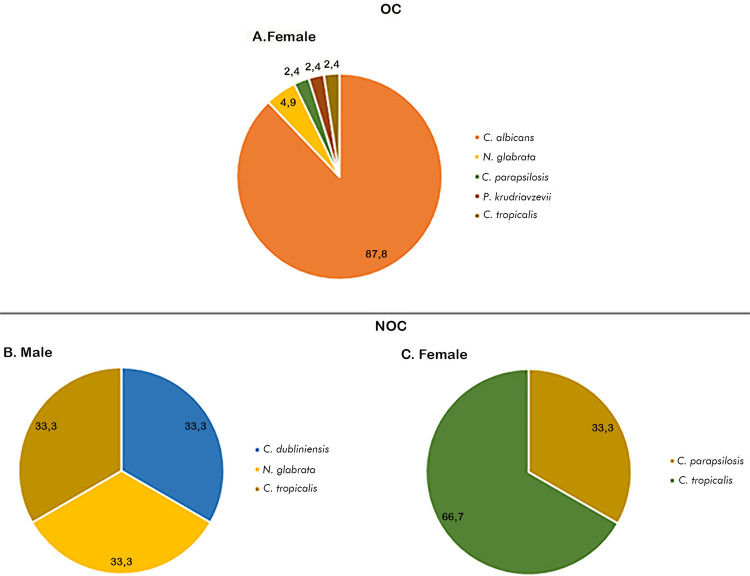 Risk of oral candidiasis: profile analysis of patients admitted to the dermatology clinic of a tertiary hospital in southeast of Brazil.