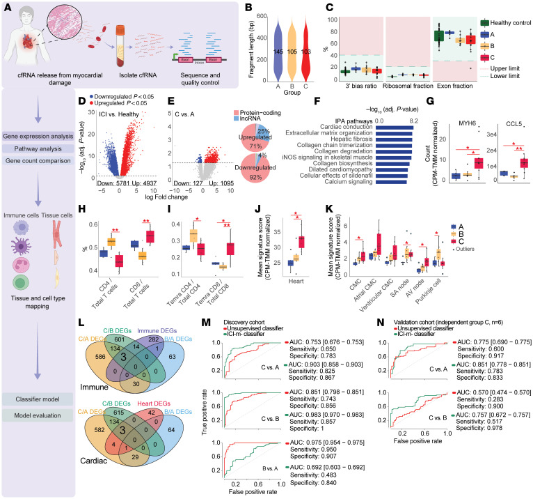 Using plasma cell-free mRNA to profile immune response and myocardial damage in immune checkpoint inhibitor-induced myocarditis.