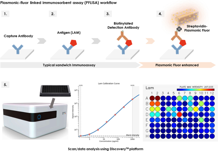 Ultra-sensitive urinary lipoarabinomannan (LAM) immunoassay for tuberculosis detection: a performance evaluation.