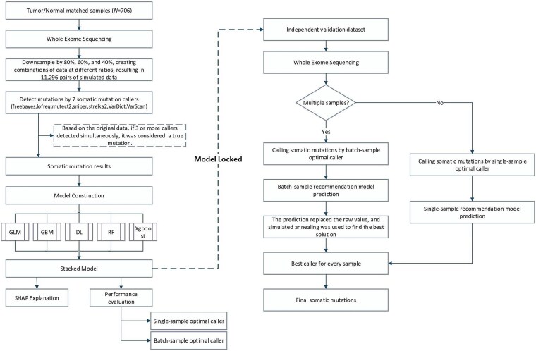 TMBquant: an explainable AI-powered caller advancing tumor mutation burden quantification across heterogeneous samples.