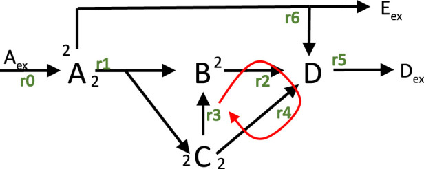 From flux analysis to self contained cellular models.