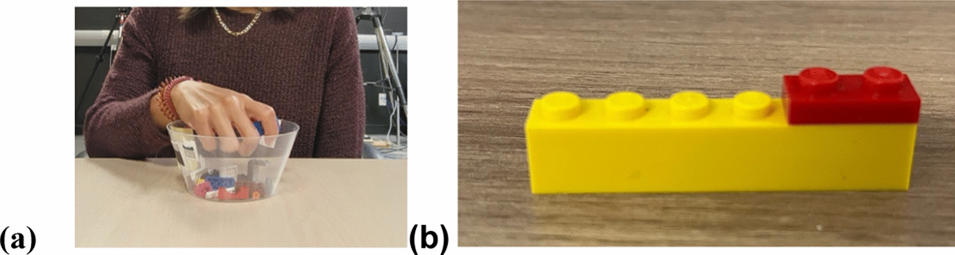 The role of visual experience in haptic spatial perception: evidence from early blind, late blind, and sighted individuals.