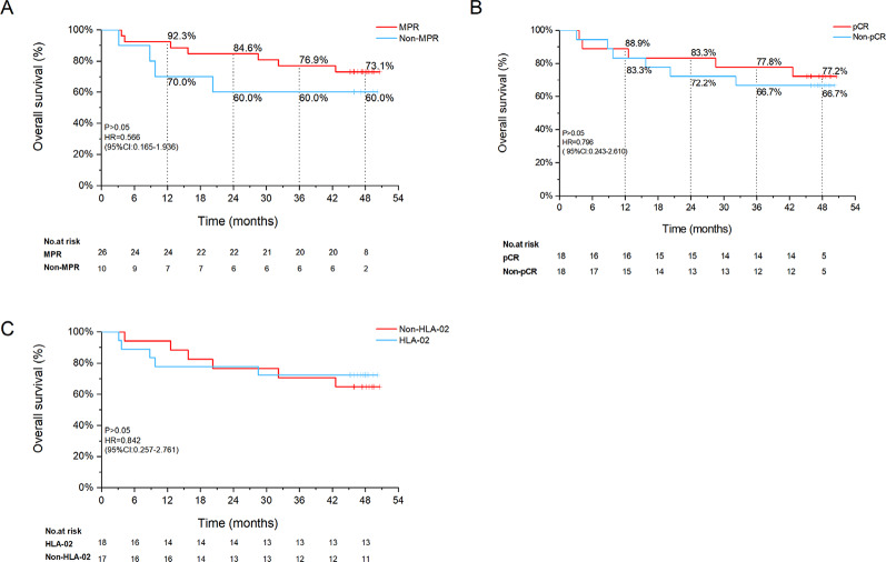 Four-year follow-up from the phase 2 study TD-NICE: neoadjuvant treatment of tislelizumab combined with chemotherapy in resectable esophageal squamous cell carcinoma.