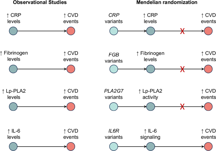 Human Genetics Informing Drug Development in Cardiovascular Disease: Interleukin-6 Signaling as a Case Study.