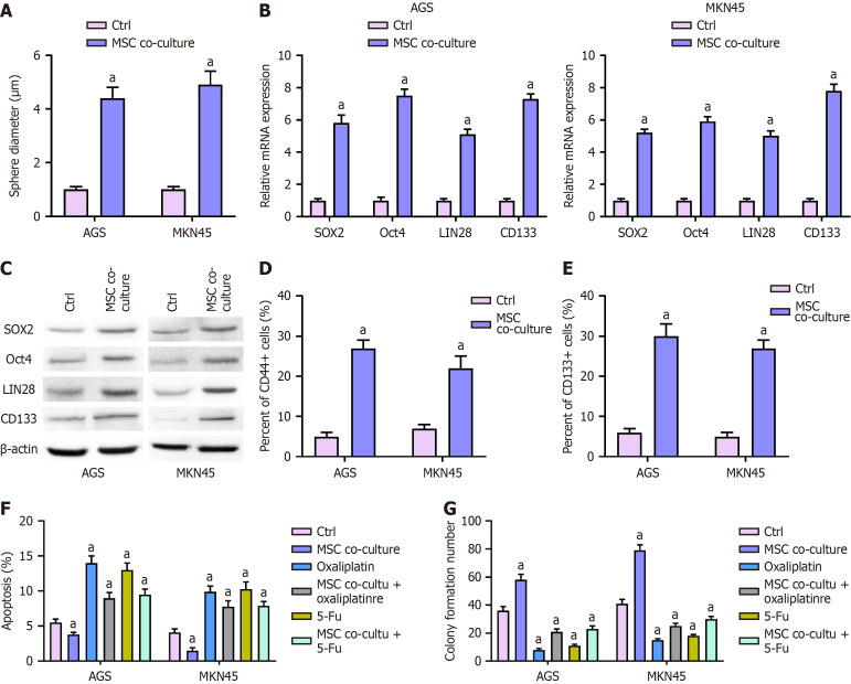 Mesenchymal stem cell-derived lncRNAs NKILA contributes to stemness and chemoresistance by fatty acid oxidation in gastric cancer <i>via</i> miR-485-5p/STAT3.
