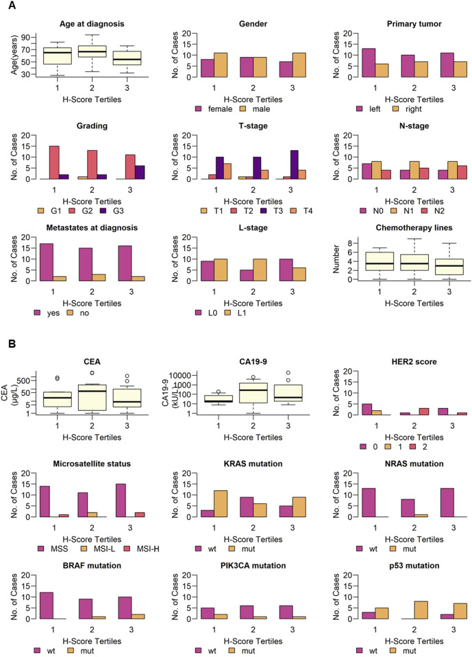 B7-H3: a consistent marker in metastatic colorectal cancer with potential for targeted treatment.