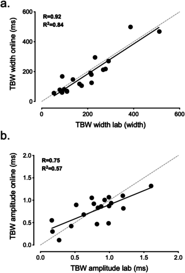 Assessing the reliability of an online measure of the temporal binding window of audiovisual integration.