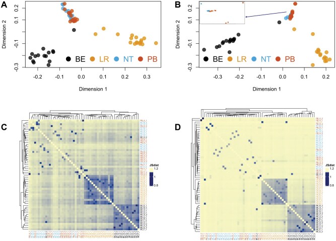 The canine T cell receptor repertoire.