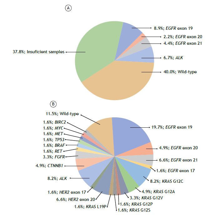 Sequential versus massively parallel strategies for molecular characterization of non-small cell lung cancer samples obtained by endobronchial ultrasound-guided transbronchial needle aspiration.