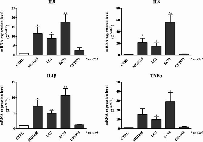 Uropathogenic Escherichia coli (UPEC) that hides its identity: features of LC2 and EC73 strains from recurrent urinary tract infections.