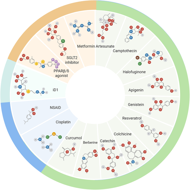 Emerging Roles of GDF15 in Metabolic and Cardiovascular Diseases.