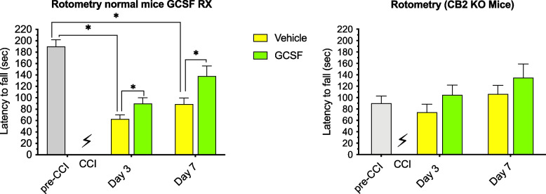 Promotion of recovery from Traumatic Brain Injury (TBI) by Granulocyte Colony-Stimulating Factor (G-CSF) treatment requires cannabinoid receptor type 2 activity.