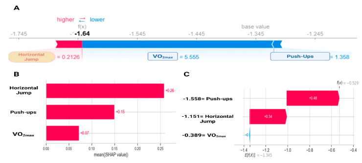 Supervised Machine Learning Algorithms for Fitness-Based Cardiometabolic Risk Classification in Adolescents.