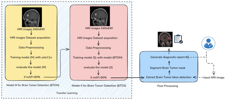 From Detection to Diagnosis: An Advanced Transfer Learning Pipeline Using YOLO11 with Morphological Post-Processing for Brain Tumor Analysis for MRI Images.