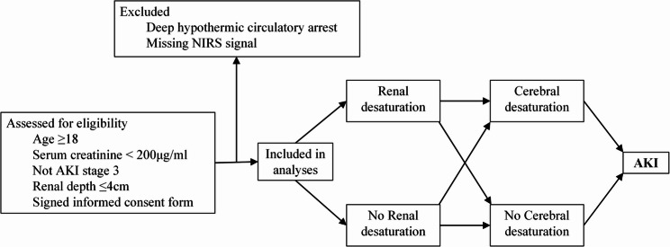 Decreased renal or cerebral oxygen saturation increases the risk of cardiac surgery-associated acute kidney injury in adult patients: a prospective observational study.