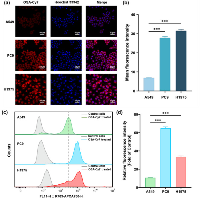 Design, synthesis, and biological evaluation of Osimertinib-Cy7 (OSA-Cy7) conjugate as potential theranostic agent targeting activating EGFR mutations.