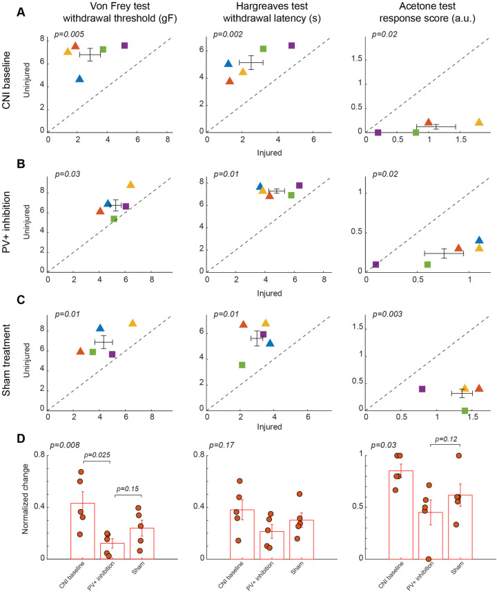 Bidirectional modulation of somatostatin-expressing interneurons in the basolateral amygdala reduces neuropathic pain perception in mice.