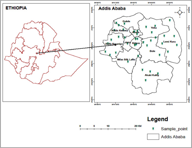 Probiotic potential of 'lactobacilli' isolated from traditionally fermented Ethiopian honey wine (Tej).