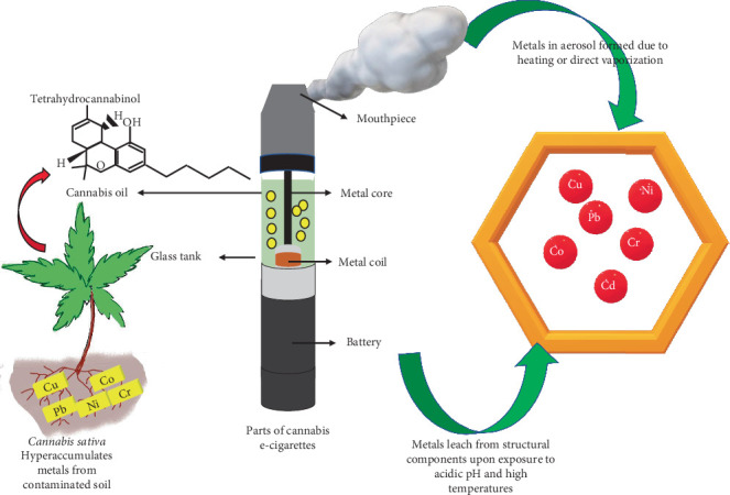 Heavy Metals in Cannabis Vapes and Their Health Implications-A Scoping Review.