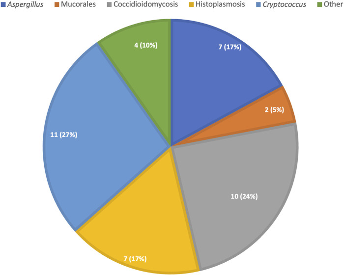 Updates on Donor-Derived Infection in Solid Organ Transplantation, Report from the 2024 GTI (Infection and Transplantation Group) Annual Meeting.