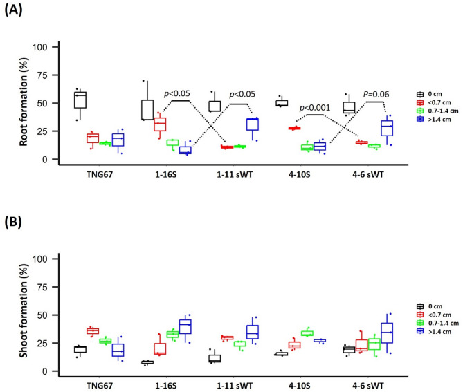 The endoglucanase gene LOC_Os09g23084 is involved in rice development and susceptibility to sheath rot disease.