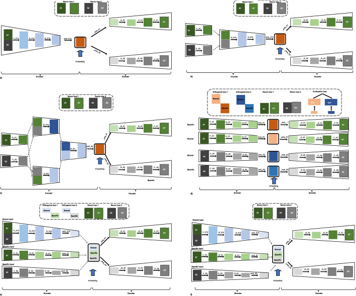 Autoencoders with shared and specific embeddings for multi-omics data integration.