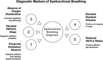 Cardiopulmonary Exercise Testing in Dysfunctional Breathing: A Case Series of Five Young Women.