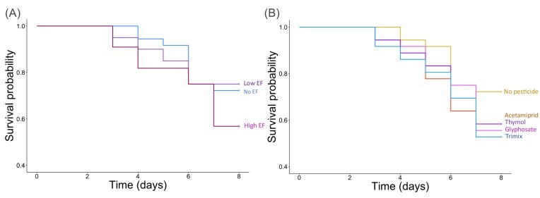 Friend or foe? Concentration of a commensal microbe induces distinct responses in developing honey bees exposed to field-realistic pesticide concentrations.
