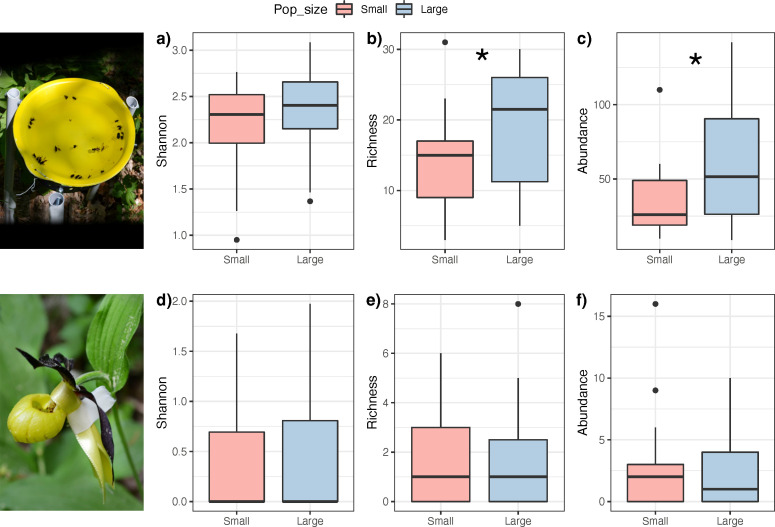 The interplay between local biodiversity floral odours and reproductive success varies across different population sizes of <i>Cypripedium calceolus</i>.