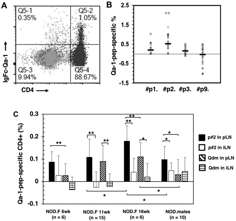 Identification of conserved T cell epitopes and flanking amino acid mutants of endogenous retrovirus Gag antigen in nonobese diabetic mice.