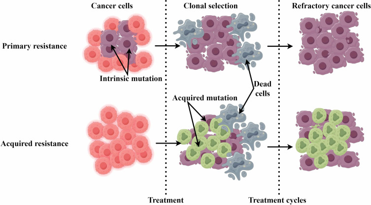 Immunotherapy Resistance and Therapeutic Strategies in PD-L1 High Expression Non-Small Cell Lung Cancer.