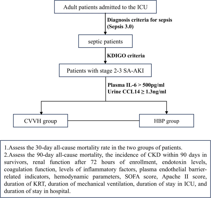 Efficacy of hybrid blood purification for SA-AKI subtypes identified by CCL14: study protocol for a single-centre randomized controlled clinical trial.