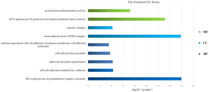 Potential role of SLC6A3 in neurodevelopmental impairments associated with corpus callosum abnormalities: insights from CNV analysis and clinical phenotyping.