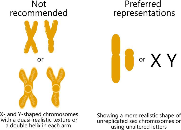 Misshaped chromosomes, mismatched chromatids, and missized genes: easy edits may help mitigate misconceptions commonly represented in published scientific figures.