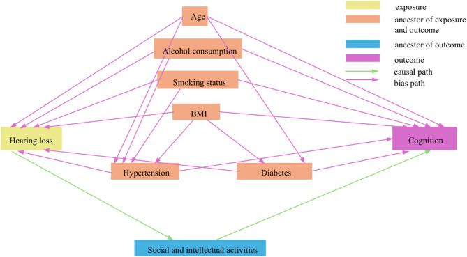 Mediating effects of social and intellectual activities on cognitive decline caused by hearing loss: insights from the China health and retirement longitudinal study (CHARLS).