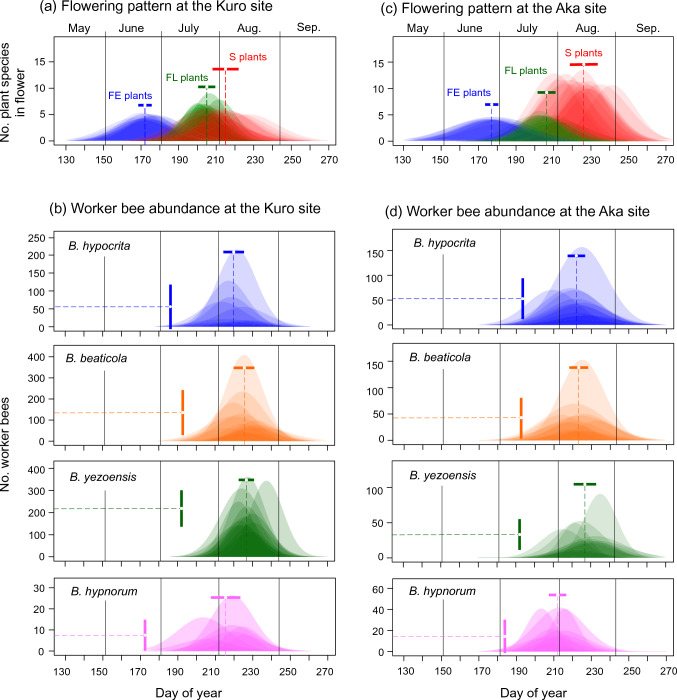 Phenological mismatch between alpine flowers and bumble bees: its mechanism and impacts on the population dynamics of bumble bees.