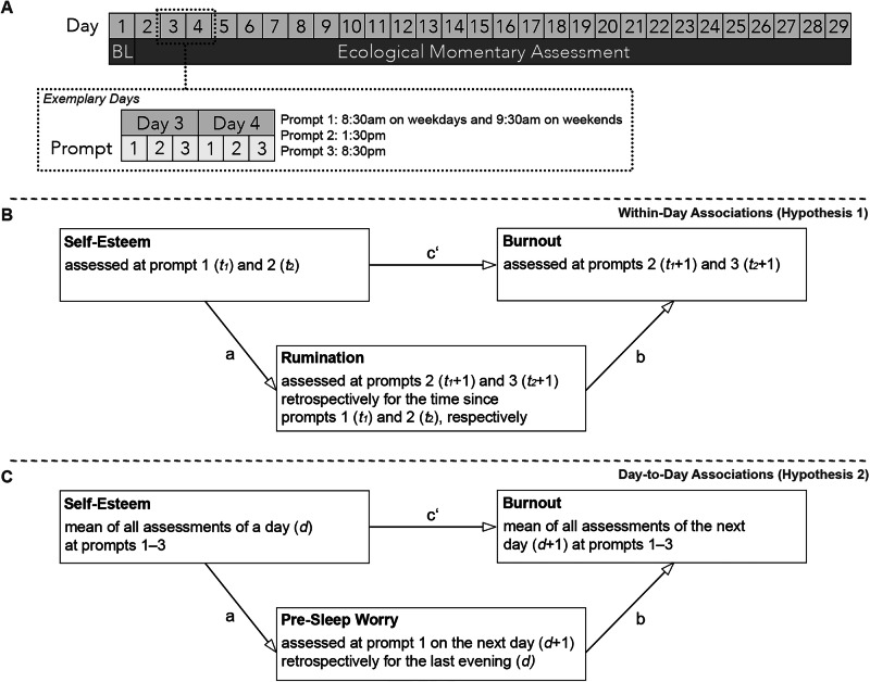 Repetitive negative thinking mediates the relationship between self-esteem and burnout in an ecological momentary assessment study.