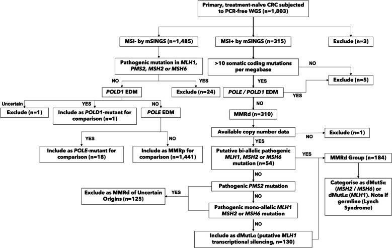 Replication-associated mechanisms contribute to an increased CpG > TpG mutation burden in mismatch repair-deficient cancers.
