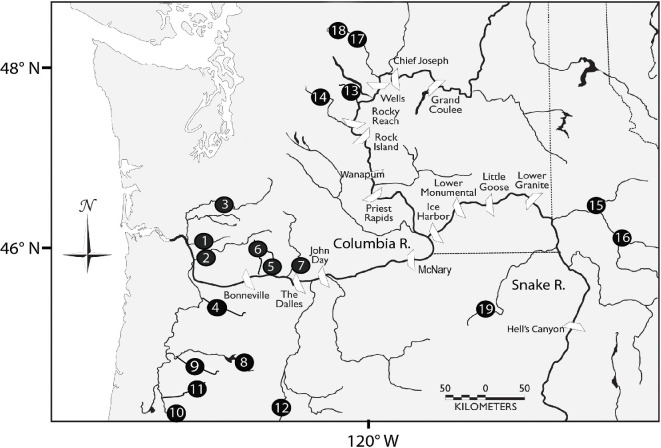 In and out: factors influencing two decades of straying and homing by Pacific salmon within the Columbia River basin.