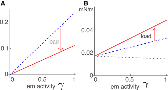 Effectiveness of outer hair cells as cochlear amplifier: In simple model systems.