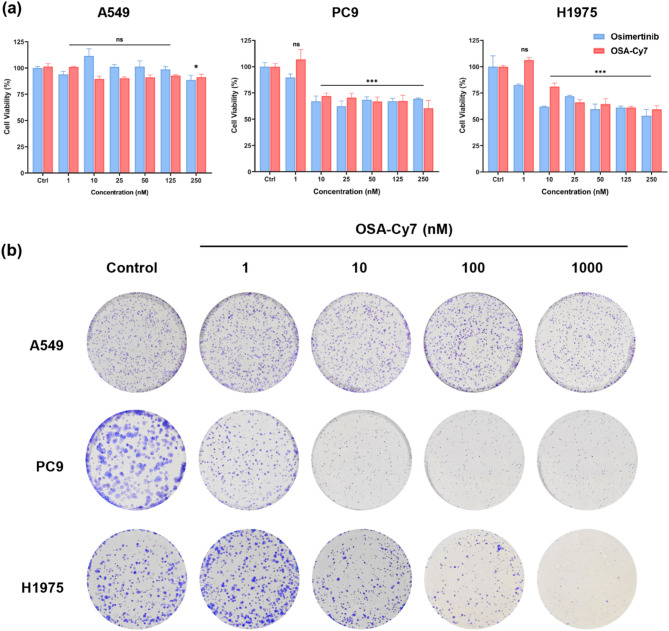 Design, synthesis, and biological evaluation of Osimertinib-Cy7 (OSA-Cy7) conjugate as potential theranostic agent targeting activating EGFR mutations.