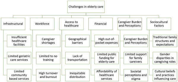 Challenges of Elderly Caregiving in the Indian Subcontinent: A Scoping Review.