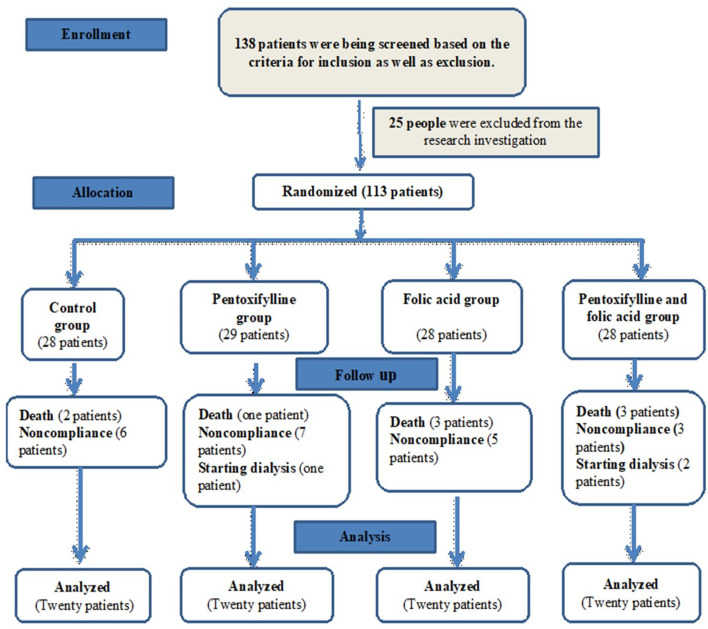 The potential adding therapeutic effect of pentoxifylline and/or folic acid for chronic kidney disease patients: randomized controlled trial.