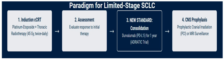 Current and Emerging Therapeutic Strategies for Limited- and Extensive-Stage Small-Cell Lung Cancer.